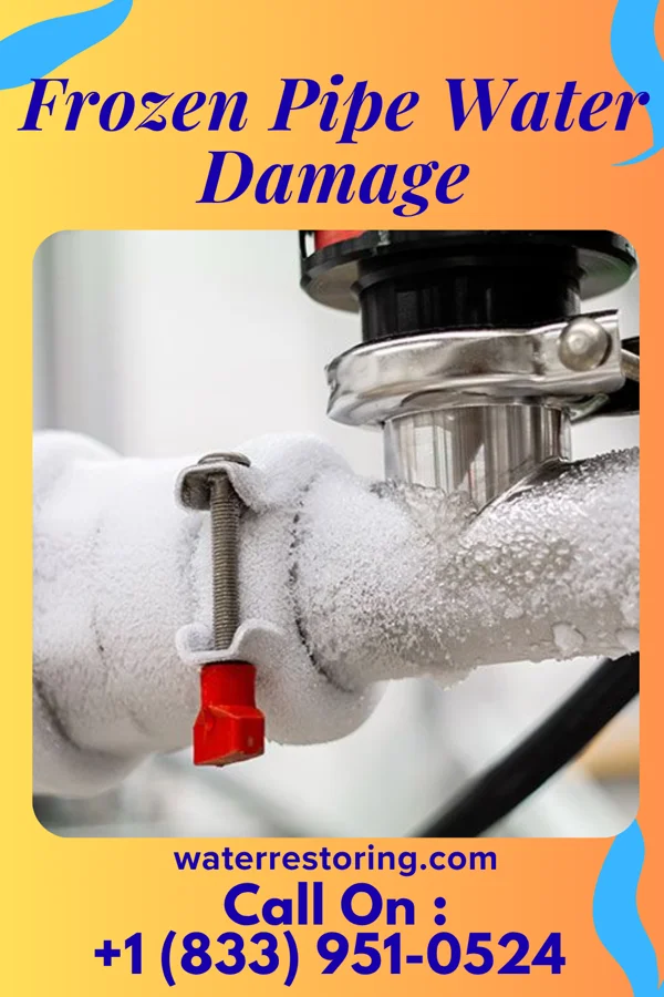 Frozen Pipe Water Damage in Cliftondale Park, VA