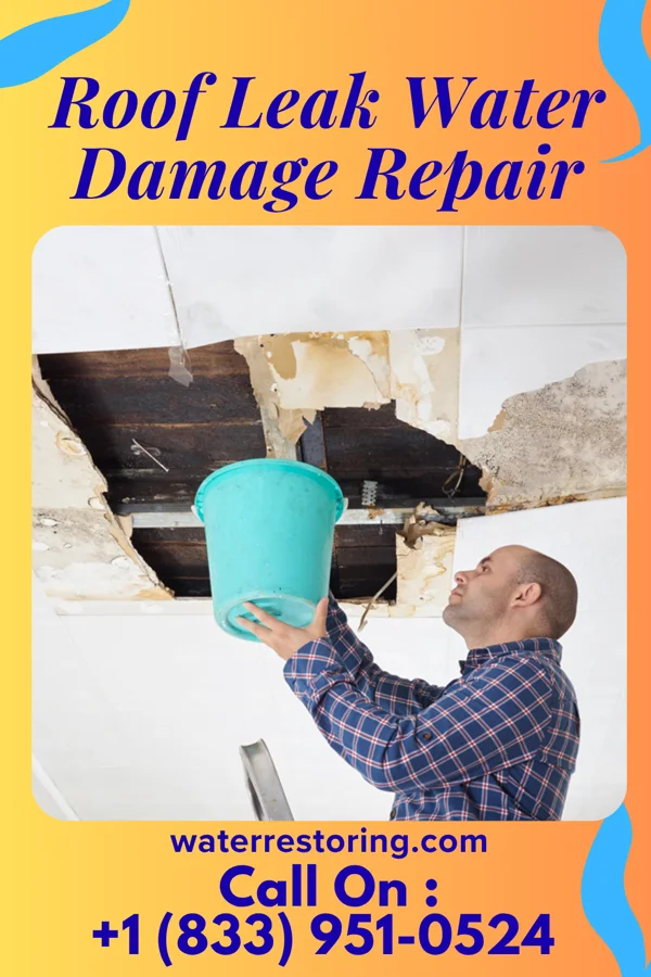 Roof Leak Water Damage Repair in Cliftondale Park, VA
