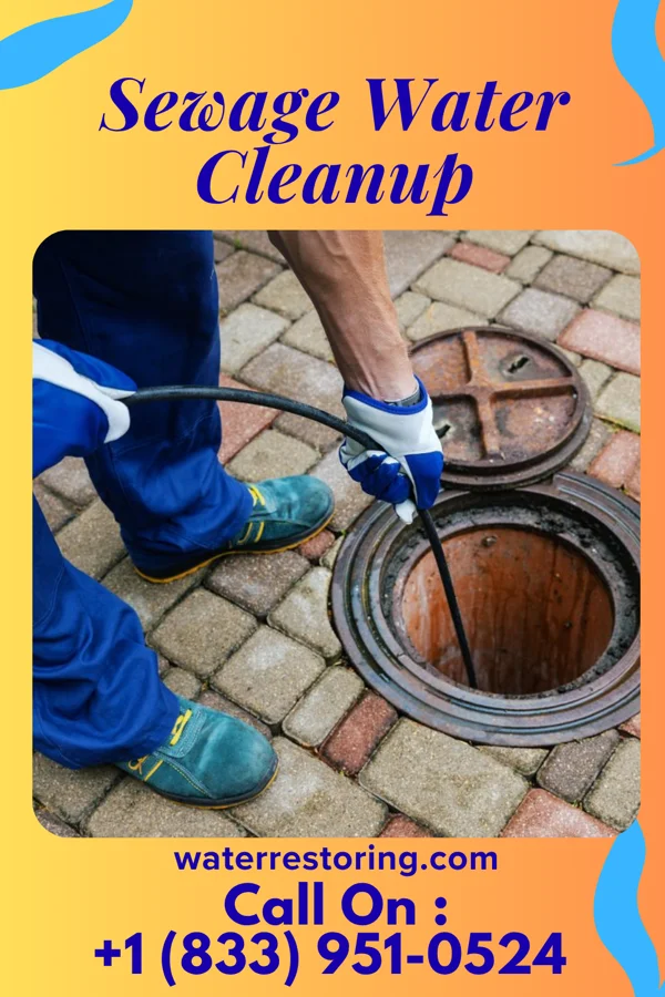 Sewage Water Cleanup in Cliftondale Park, VA